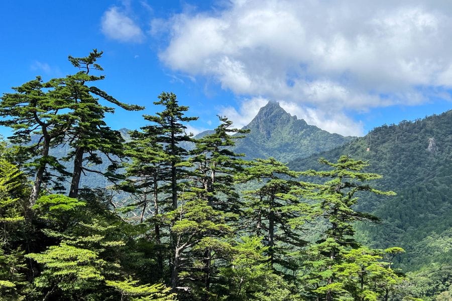 UFO line Mt Ishizuchi view
