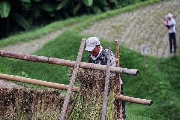 Uchiko Izumi Tanada farmers