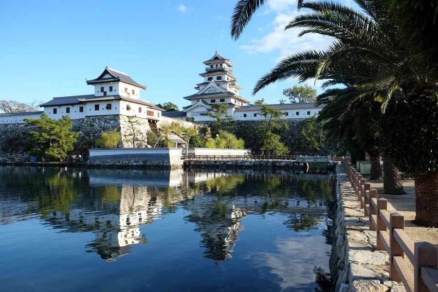 Imabari Castle with palms