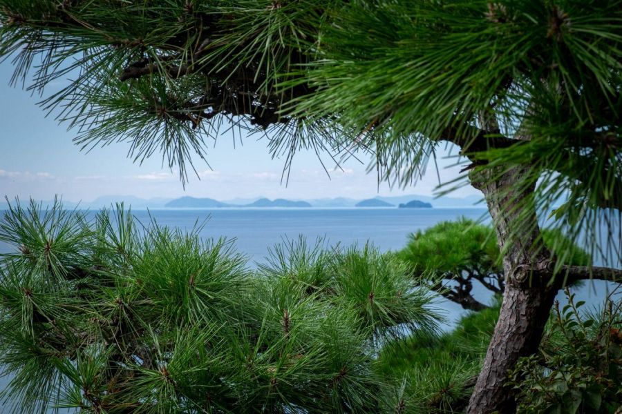 Kawanoe Castle Inland Sea view