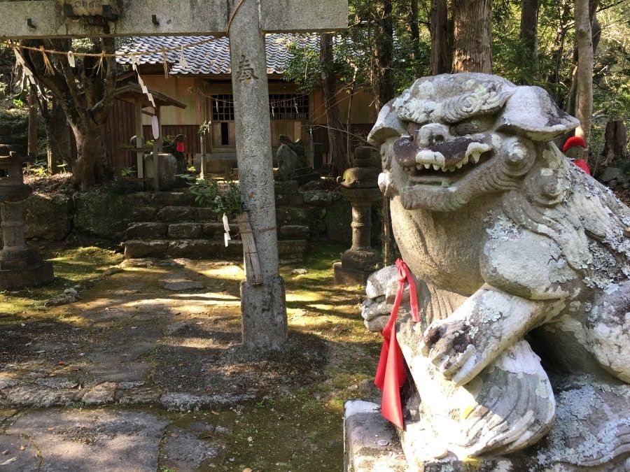 T31 Chikurin ji Temple liondog