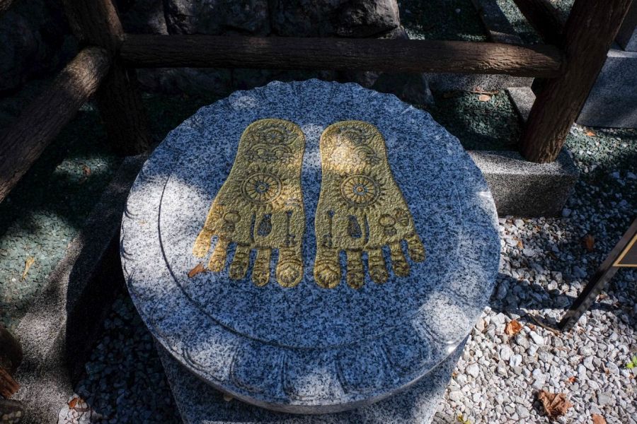T32 Zenjibu ji Temple Buddha footprints