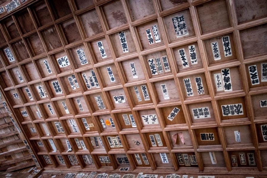 T36 Shoryu-ji Temple tagged ceiling