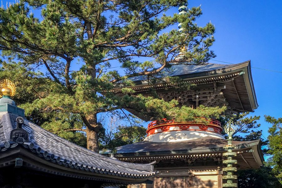T38 Kongofuku ji Temple pagoda