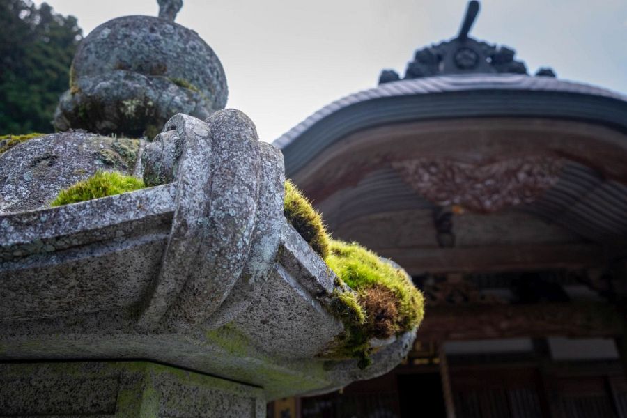 T60 Yokomine ji Temple mossy lantern