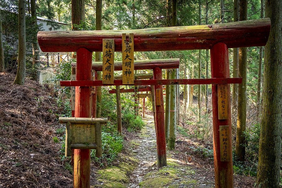 T60 Yokomine ji Temple red torii gates