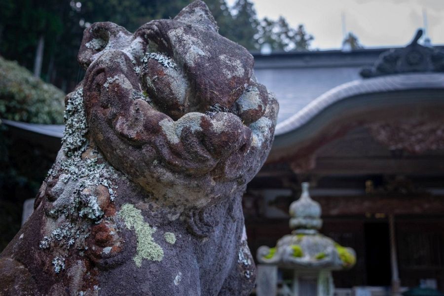 T60 Yokomine ji Temple stone lion with lichen