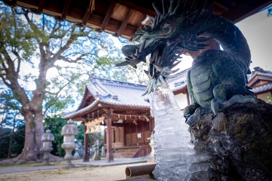 T70 Motoyama ji Temple dragon with ice