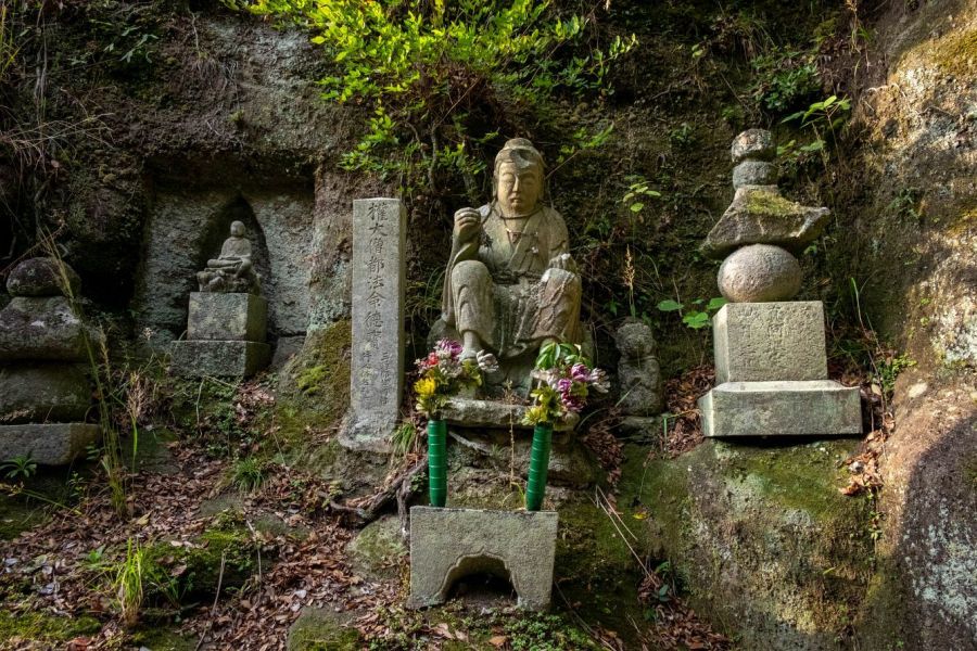 T71 Iyadani ji Temple various stone carvings