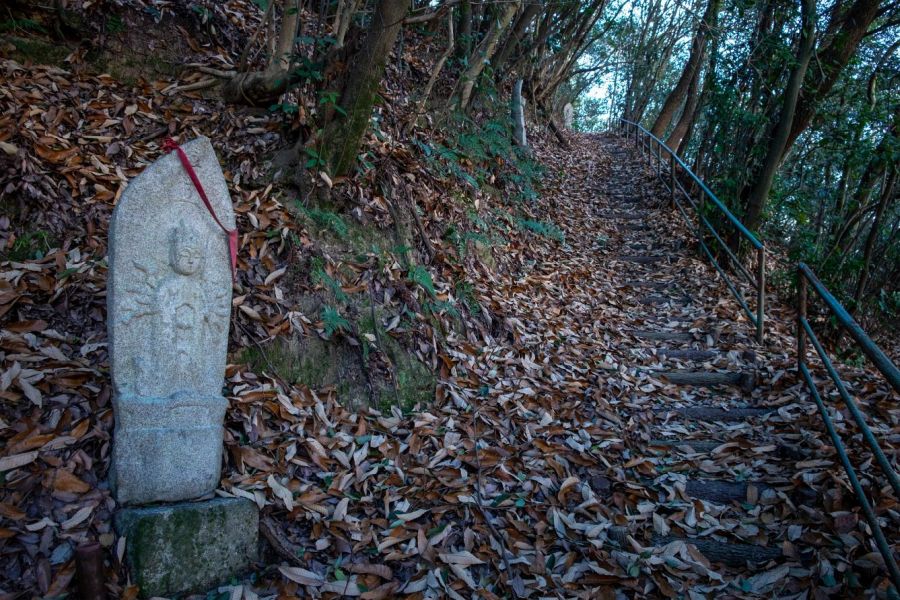 T74 Koyama ji Temple hike