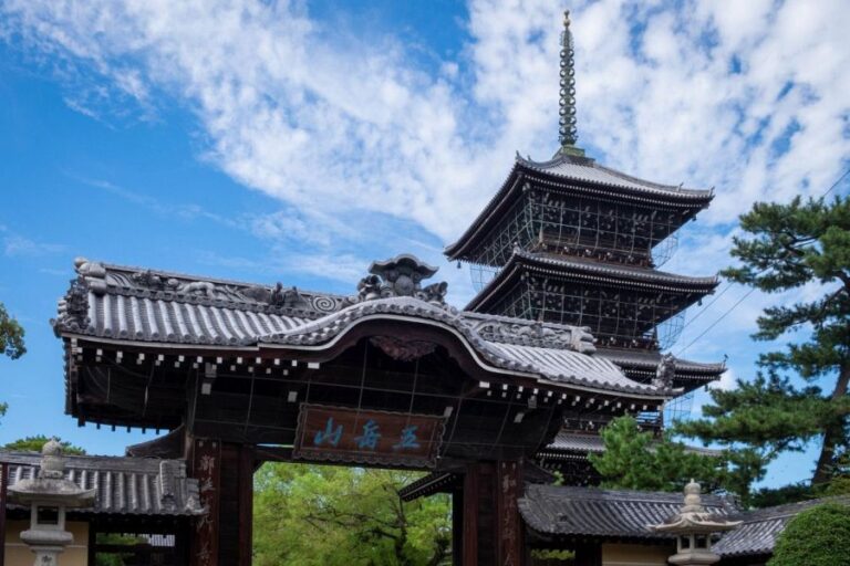 T75 Zentsu ji Temple main gate and pagoda (2)