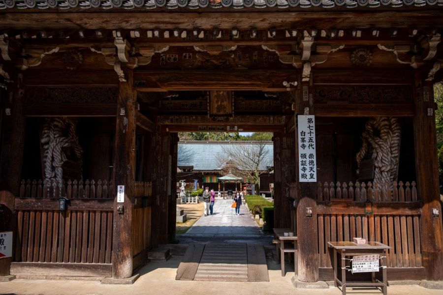 T81 Shiromine ji Temple giant straw sandals