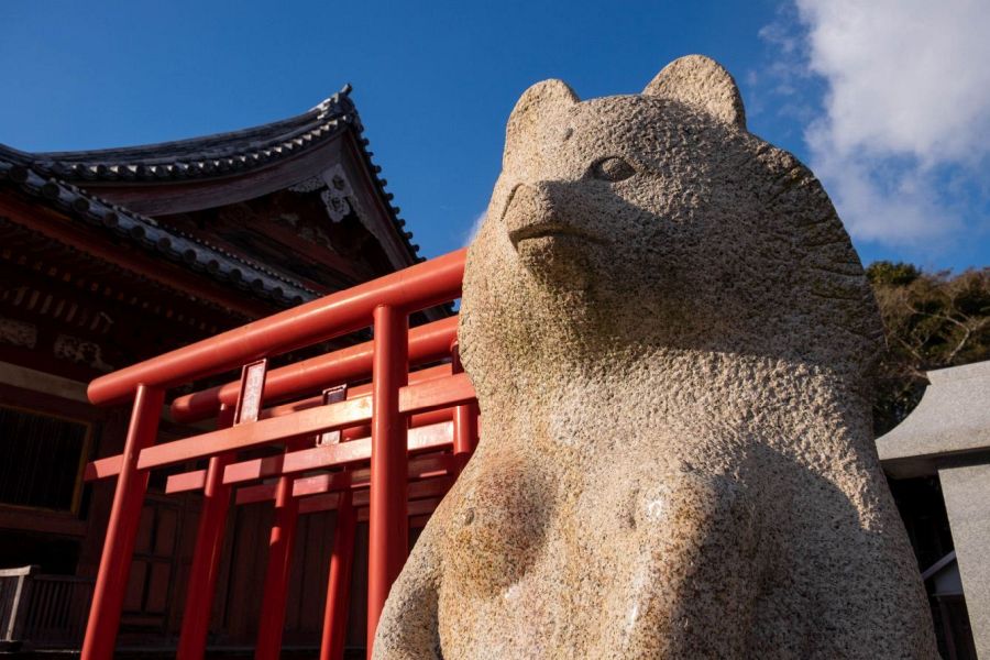T84 Yashima ji Temple tanuki
