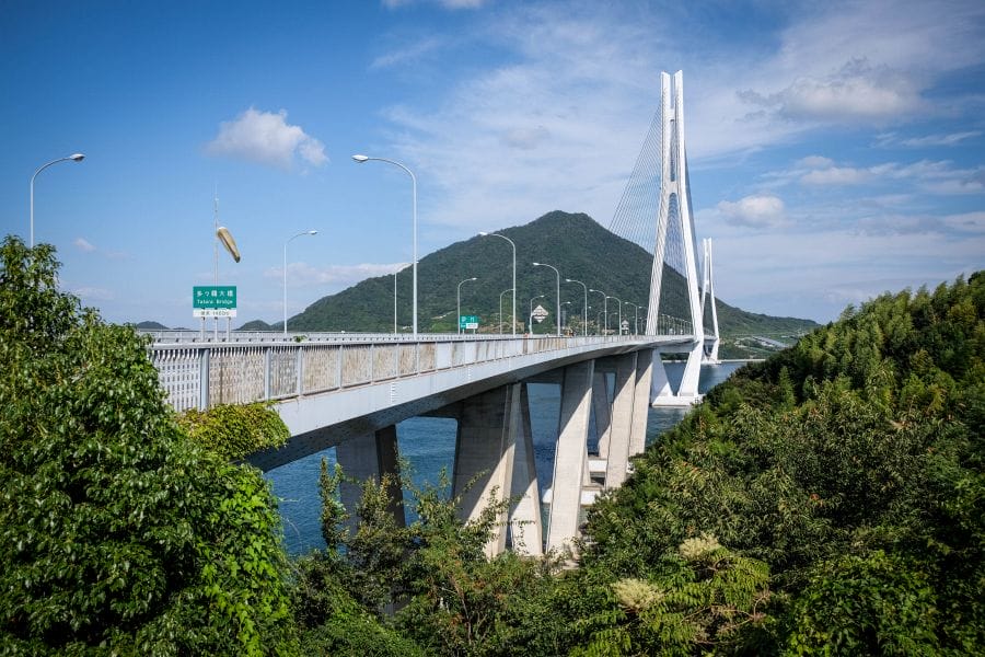 Tatara bridge general view