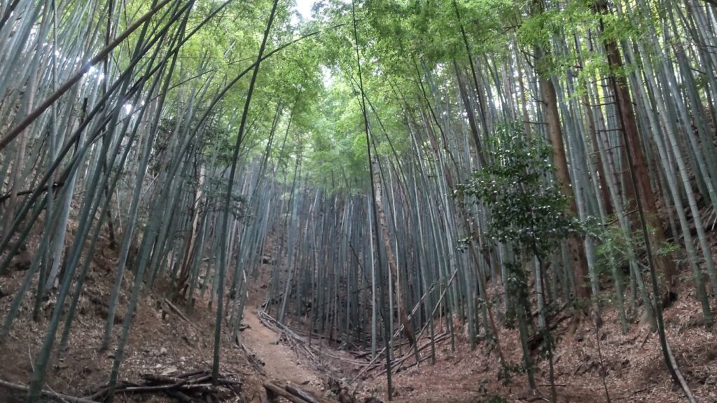 宗箇山5-宮川まどか-1024x576