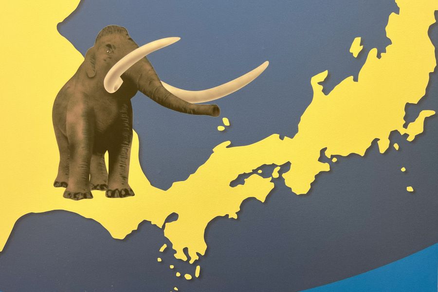 Kashima museum mammoth and ancient Japan