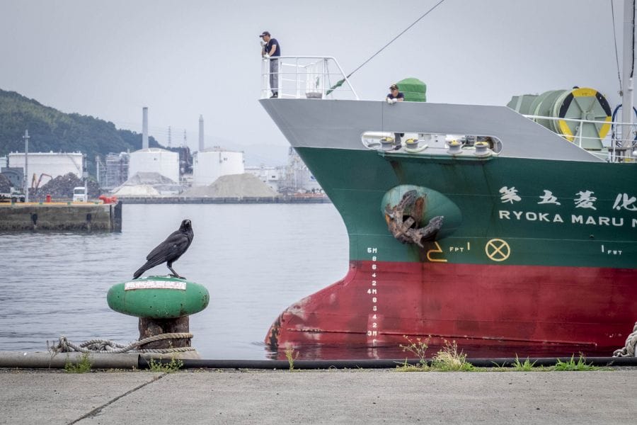 Mitsuhama docking ship and crow