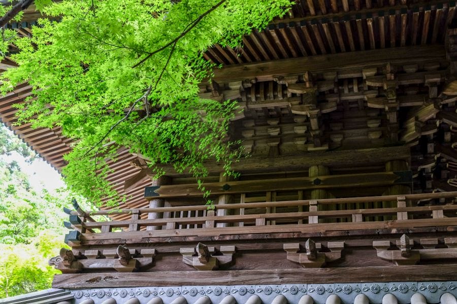Nishiyama Koryu-ji Temple fresh greenery