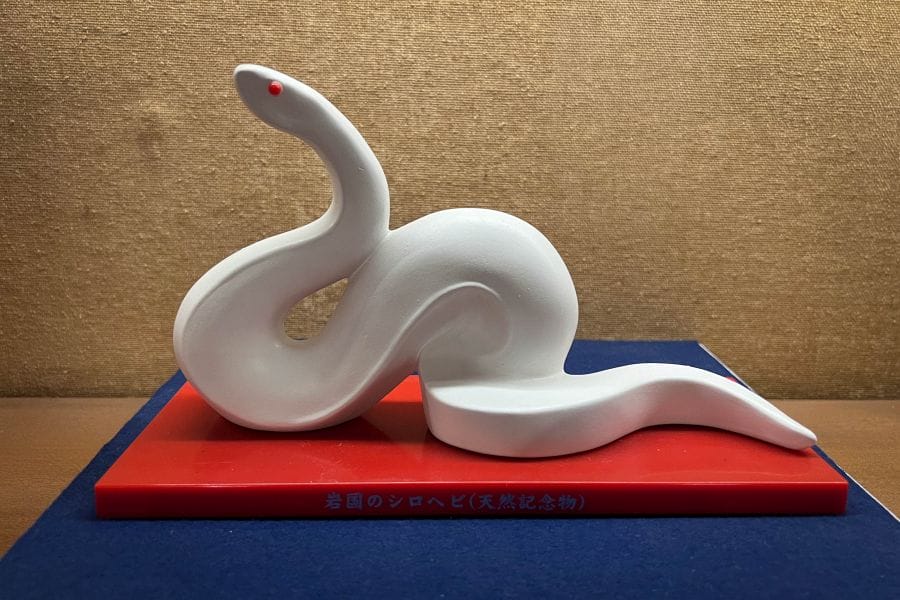 Snakes Yamaguchi old Prefectural Office white snake