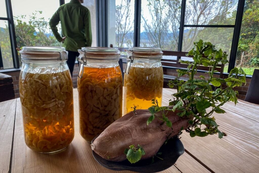 Sustainability in Shikoku conservation