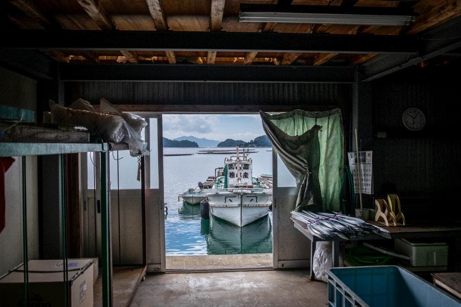 Kure oysters warehouse view