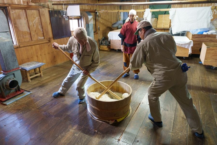 Miwasakura Shuzo Brewery kimoto mashing