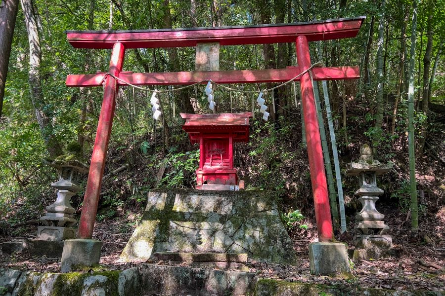 Miyoshi Higumayama hike Dasai Shrine red torii