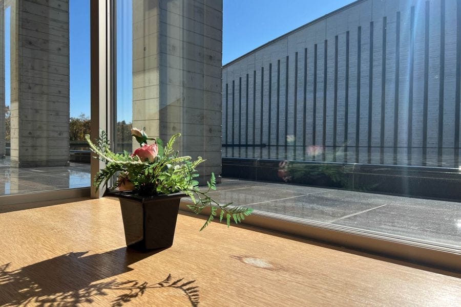 Okuda Genso & Sayume Art Museum flowers