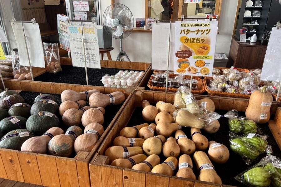 Torretta Miyoshi pumpkins