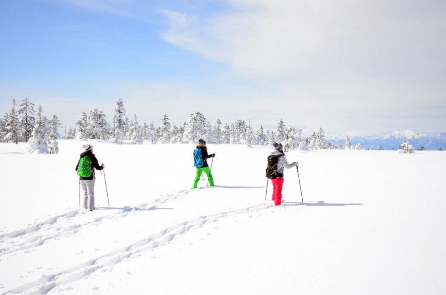 Hakuba snowshoeing bright white