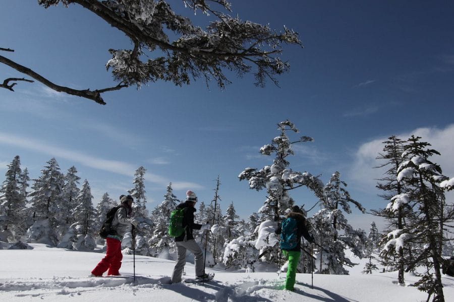 Hakuba snowshoeing deep snow