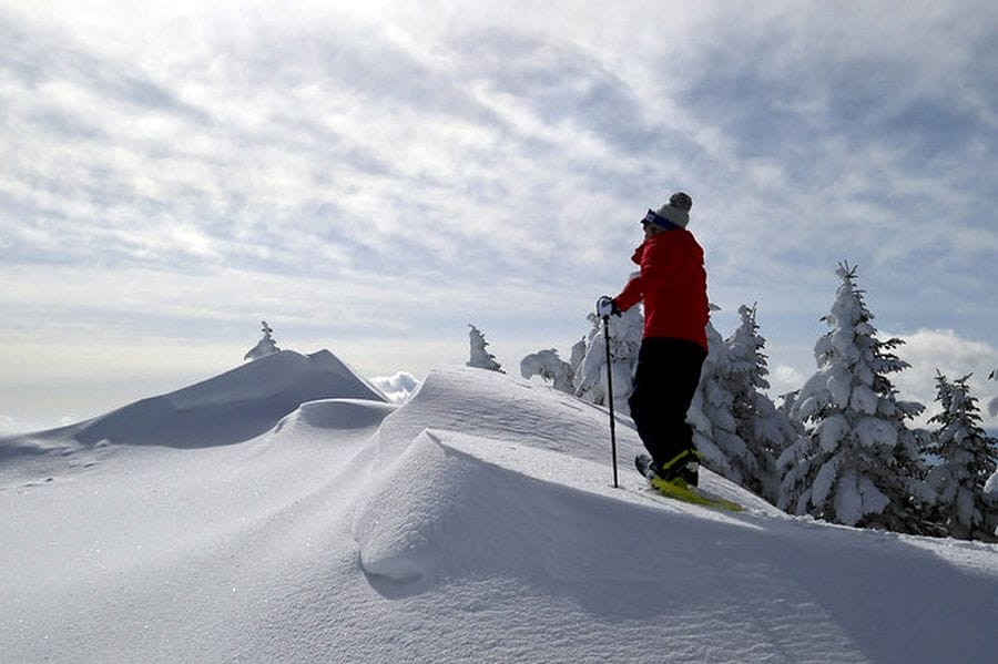 Hakuba snowshoeing heroic pose