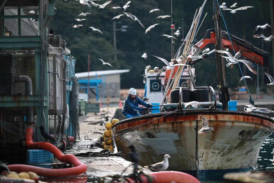 Ine fishing boat and seagulls