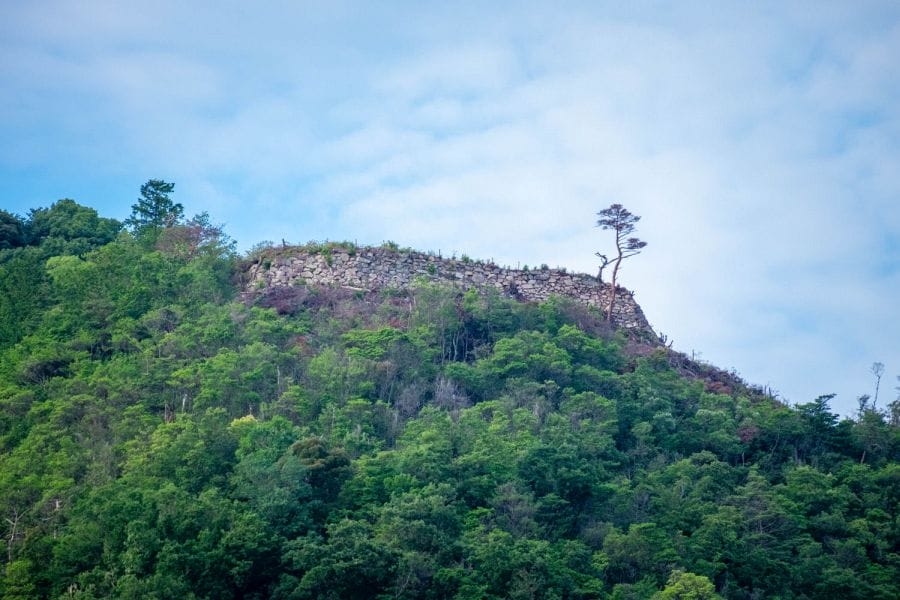 Mt. Hachiman Castle walls from Hachimanbori cruise boat