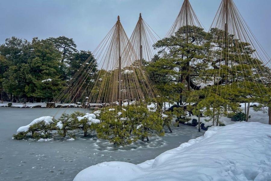 Kenroku-en Garden yukitsuri and snowbank