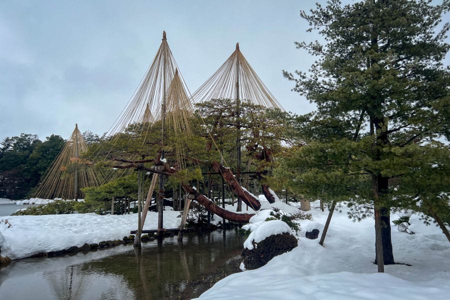 Kenroku-en Garden yukitsuri