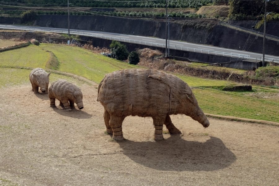 Imabari straw wild boar