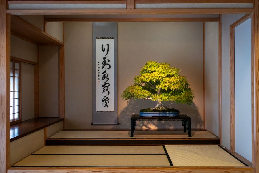 Omiya Bonsai Museum Japanese room