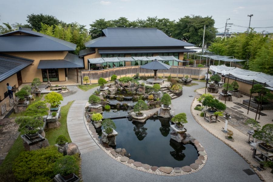 Omiya Bonsai Museum looking down on the garden