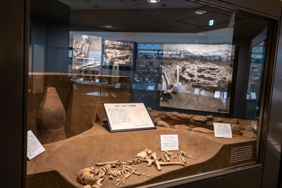 Omiya Museum of History and Folklore Jomon burial reconstruction