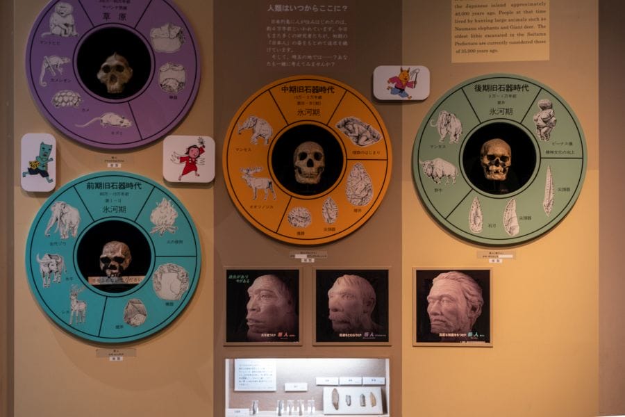Omiya Museum of History and Folklore skulls