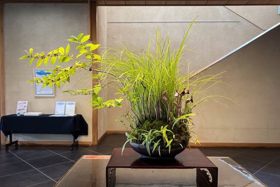 Omiya bonsai Museum flower arrangement type