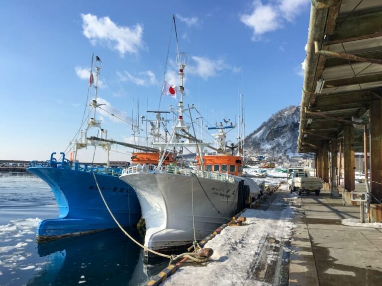 Rausu fishing boats