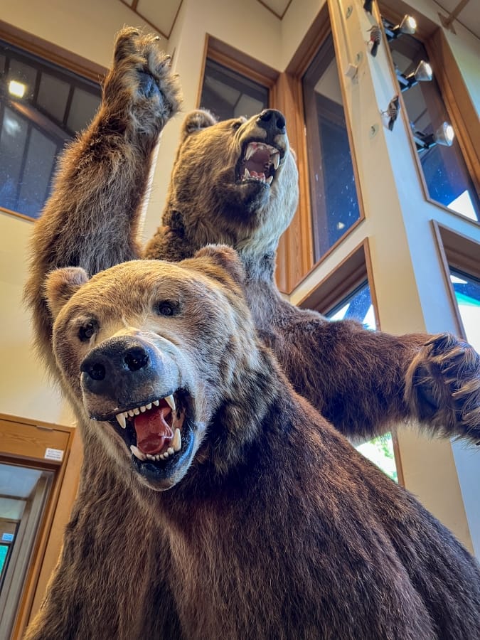 Kawayu Onsen visitor's centre stuffed bear